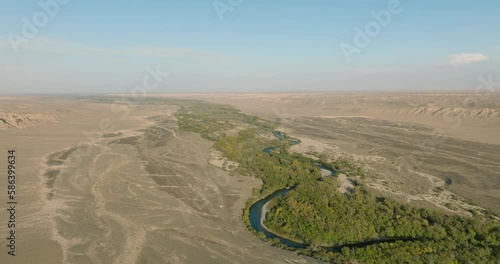 Charyn canyon with river in Kazakhstan. Oasis around the river among arid dry sand landscapes. Aerial drone view at summer sunny sunset.