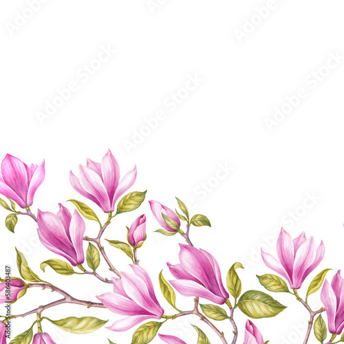 Differents flower magnolia on white background. Watercolor floral illustration