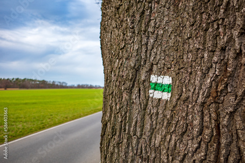 Hiking trail, trail sign, background. Green stripe on white background. Brown tree trunk. Guide sign made of paint. The symbol shows the right way. Forest navigation map. Ortrand-Radeburg-Steinbach. 