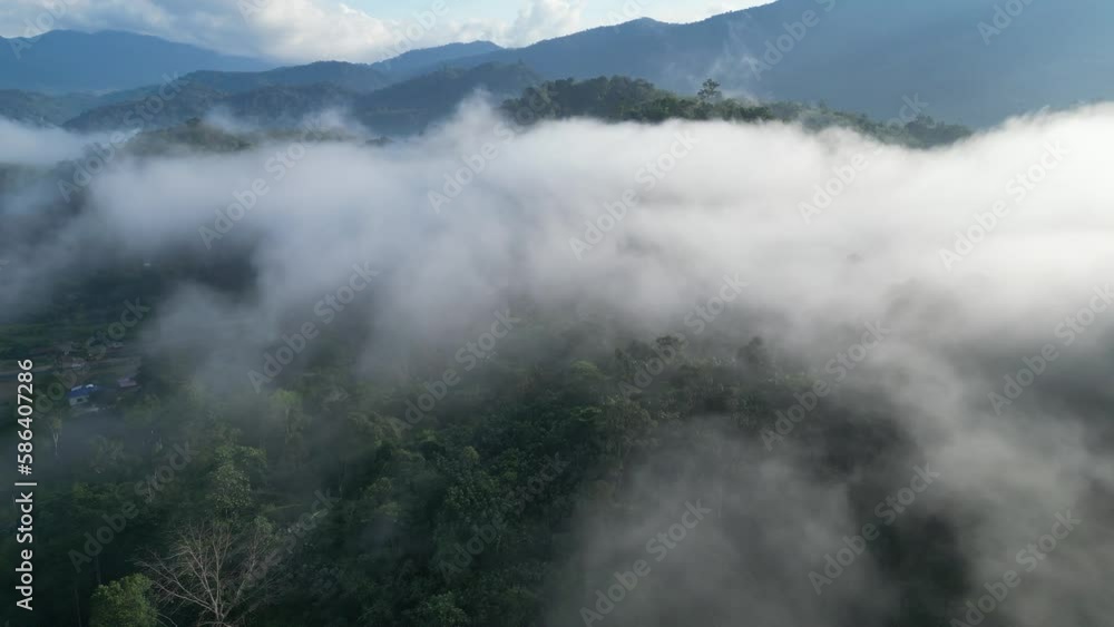 low level clouds and rainforest in the morning, drone view low level clouds and rainforest in the morning, drone view