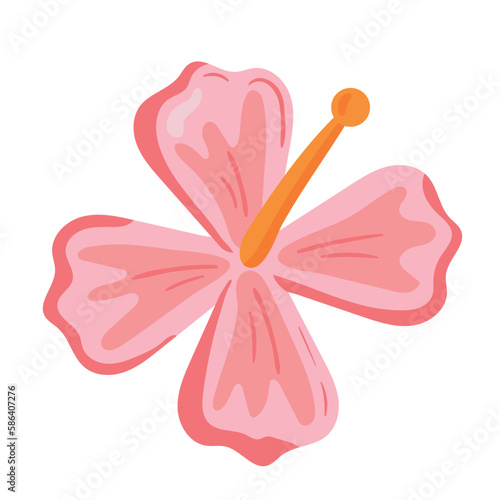 flower hibiscus nature