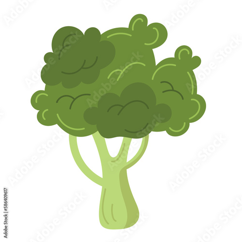 fresh organic broccoli