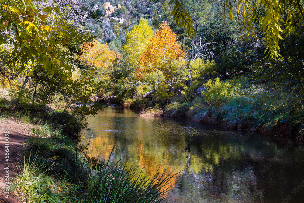 A colorful Autumn scene up stream from the First Crossing of Ellison creek near Payson, Arizona. A colorful Autumn scene up stream from the First Crossing of Ellison creek near Payson, Arizona.