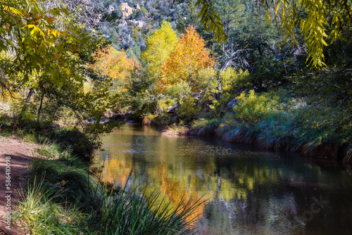 A colorful Autumn scene up stream from the First Crossing of Ellison creek near Payson, Arizona.
