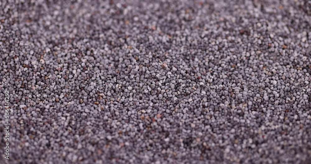 A large number of fresh very small-sized poppy seeds, a close-up of a pile of poppy seeds used in cooking A large number of fresh very small-sized poppy seeds, a close-up of a pile of poppy seeds used in cooking