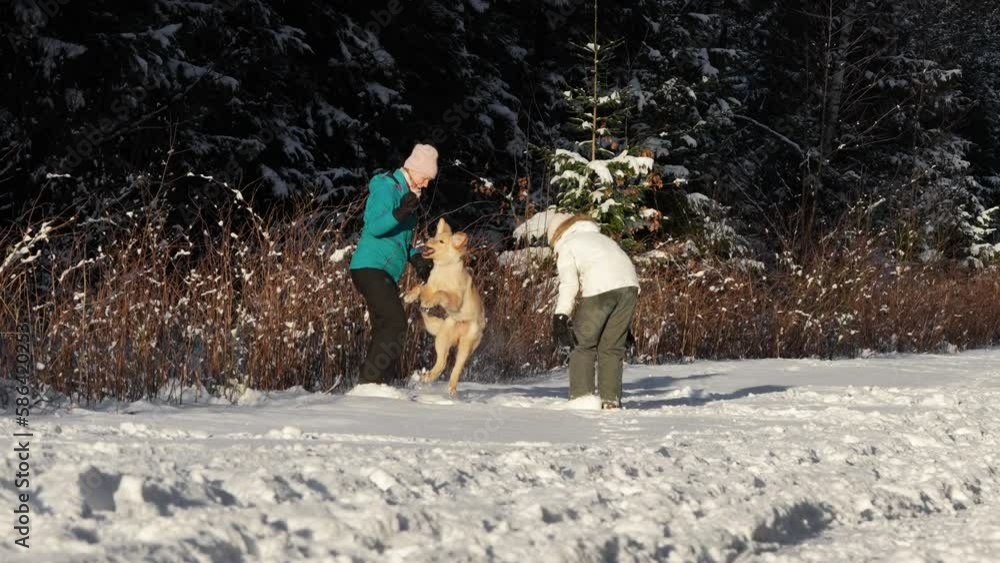 happy family playing with her cute blonde hovawart puppy in the winter forest. winter activity happy family playing with her cute blonde hovawart puppy in the winter forest. winter activity