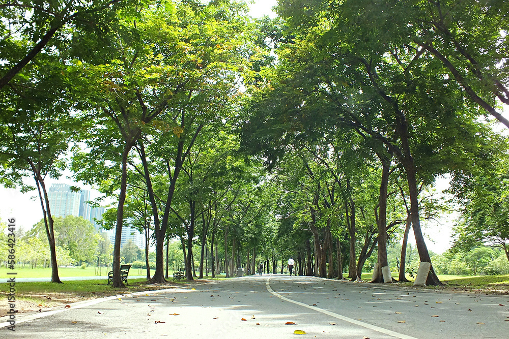 green and nature with life balance green and nature with life balance