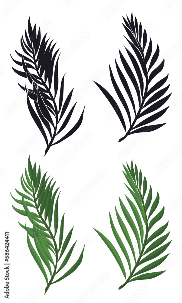 Set of palm branches in silhouettes and cartoon style, Vector illustration