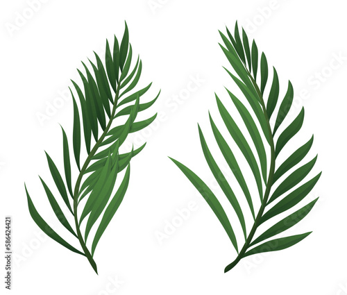 Pair of palm branches in gradient style on white background, Vector illustration