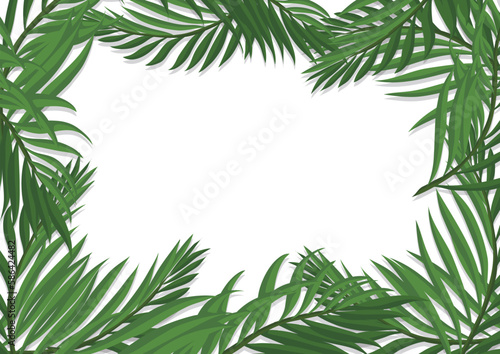 Horizontal frame made with green palm branches, Vector illustration
