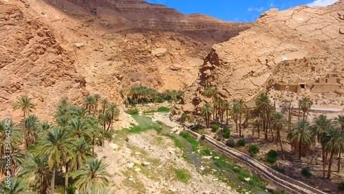 shot of a river in a canyon surrounded by palm trees in the Sahara in Biskra photo