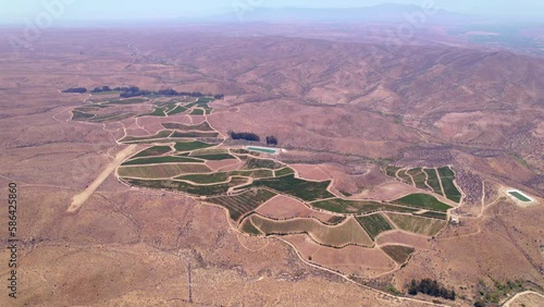 Aerial shot of vineyards in the arid zone within Limary Valley near the Andean mountain range photo