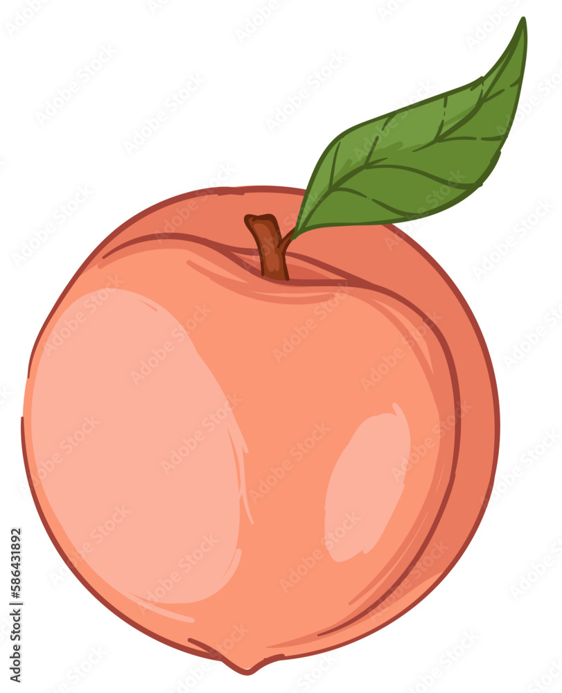 Peach or big apricot fresh fruit with green leaf Peach or big apricot fresh fruit with green leaf