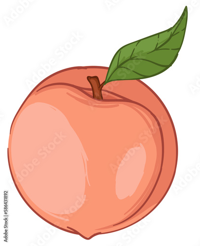 Peach or big apricot fresh fruit with green leaf