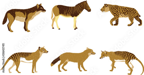 Set of wild african animals isolated on white background. Vector illustration.