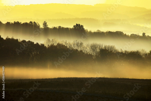 幻想的な朝霧の丘（美瑛町）
