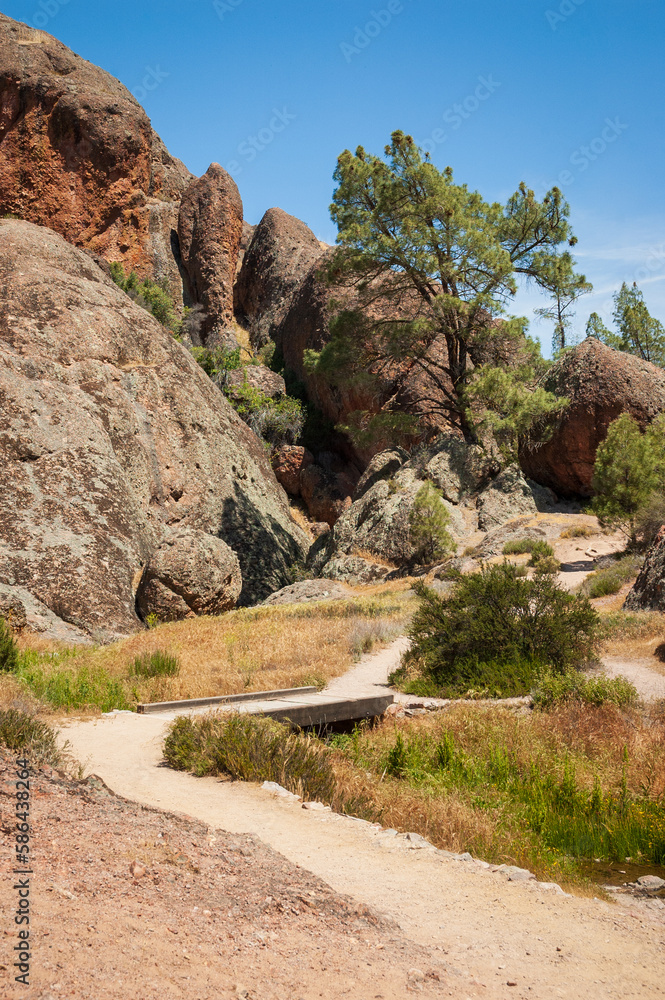 Naklejka premium Arid Trail at Pinnacles National Park