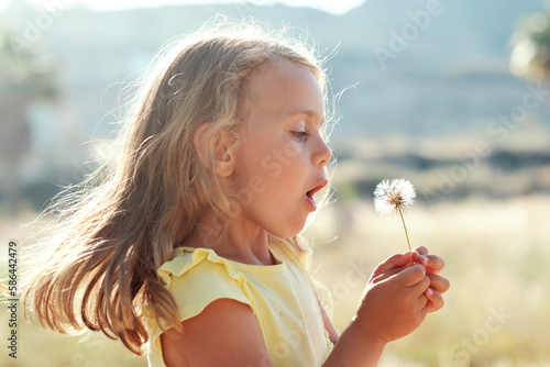 summer season child girl in sunset blowing dandelion nature background