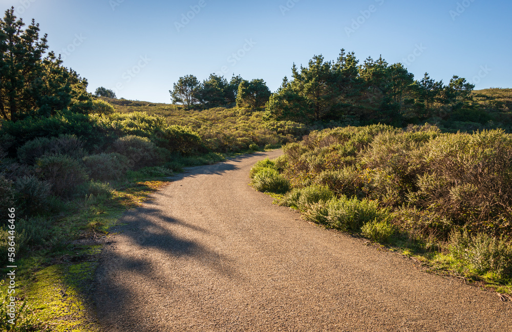 Paved Road and Trail at Point Reyes National Seashore