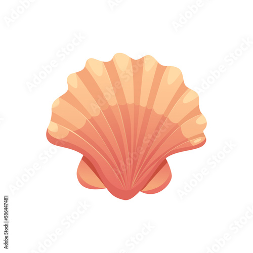 Sea Shell Isolated on White Background. Vector Illustration in Cartoon Style. Top View.