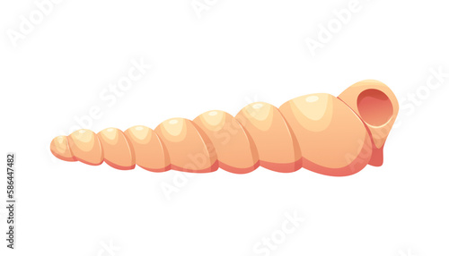 Protracted Spiral Seashell Isolated on White Background. Vector Illustration.