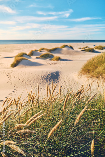 Tableau sur toile Danish coastline in Summer. High quality photo