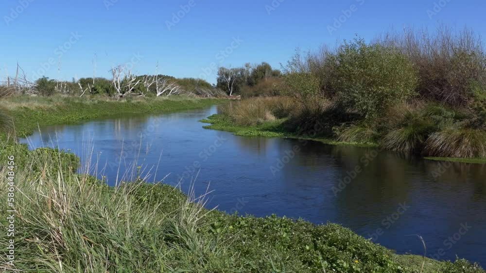 Slow walk beside river as gentle curve comes into view - Ararira-LII River, Selwyn District (New Zealand) Slow walk beside river as gentle curve comes into view - Ararira-LII River, Selwyn District (New Zealand)