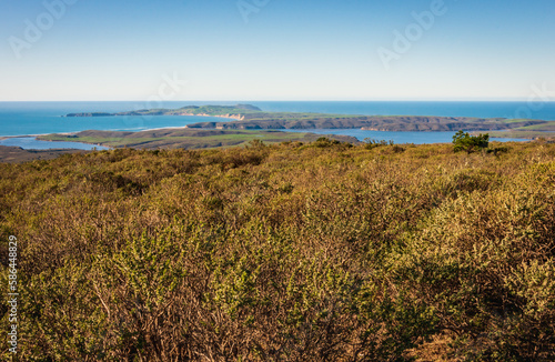 Overlook of the Forest and Coast at Point Reyes National Seashore