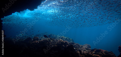 Artistic underwater photography of rays of sunlight and school of fish over a coral reef photo