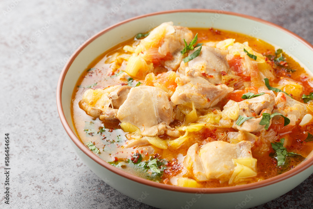 Homemade chicken stew with vegetables such as leek, onion, ginger, tomatoes, garlic and chili close-up in a bowl on the table. Horizontal Homemade chicken stew with vegetables such as leek, onion, ginger, tomatoes, garlic and chili close-up in a bowl on the table. Horizontal