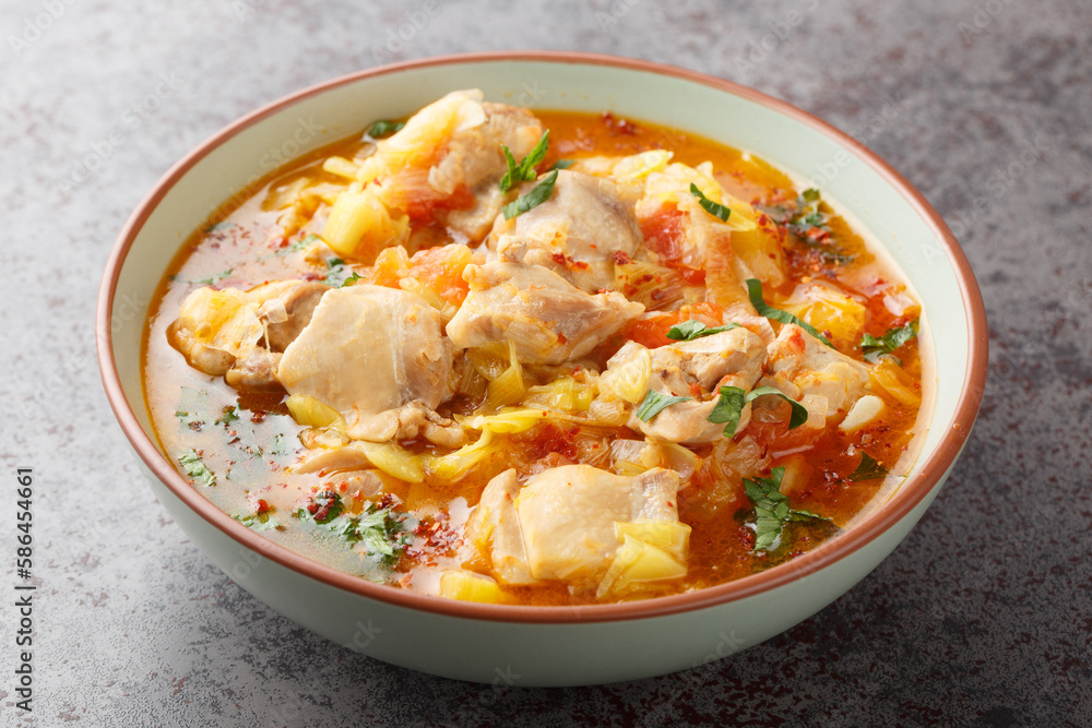 Spicy Asian chicken stew with vegetables such as leek, onion, ginger, tomatoes, garlic and chili close-up in a bowl on the table. Horizontal Spicy Asian chicken stew with vegetables such as leek, onion, ginger, tomatoes, garlic and chili close-up in a bowl on the table. Horizontal