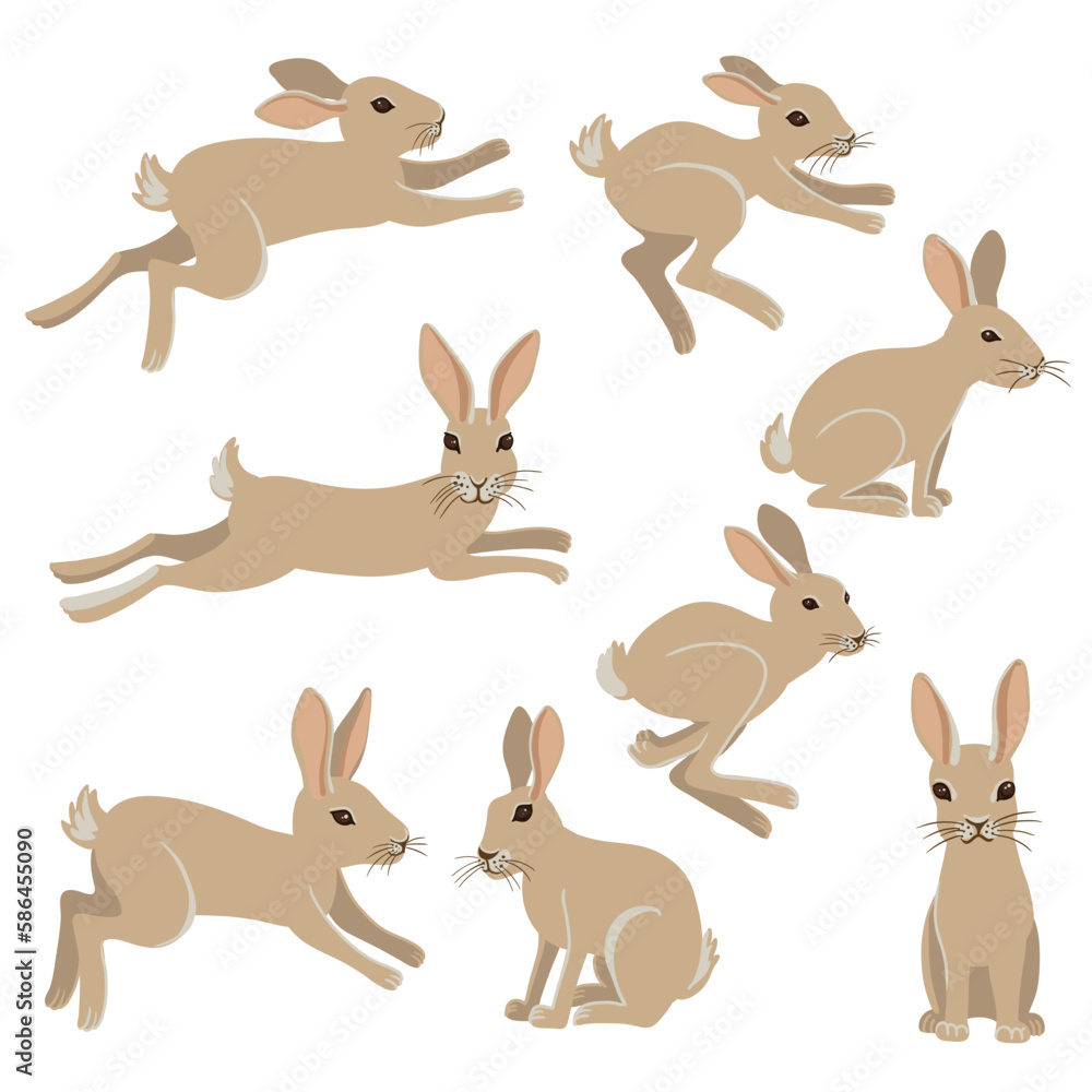 vector drawing hare, rabbit, hand drawn animal isolated at white background , cartoon style character vector drawing hare, rabbit, hand drawn animal isolated at white background , cartoon style character