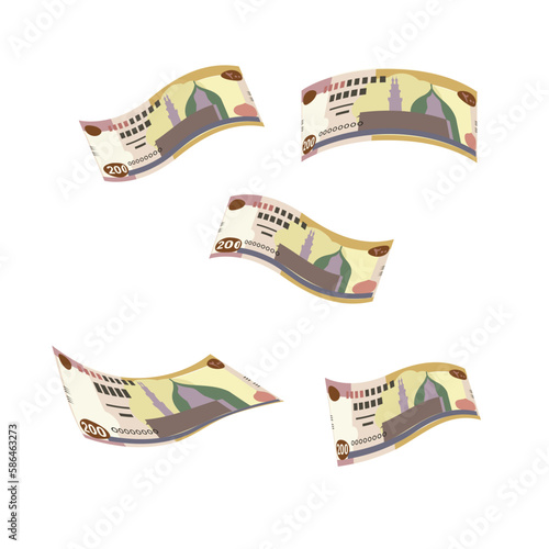 Egyptian Pound Vector Illustration. Egypt, Gaza Strip money set bundle banknotes. Falling, flying money 200 EGP. Flat style. Isolated on white background. Simple minimal design.