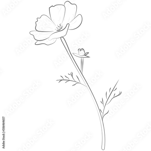 One Line Aesthetic Flower 12