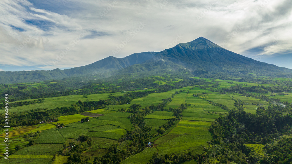 Agricultural plantations and farmland at the foot of the Canlaon volcano. Negros, Philippines
