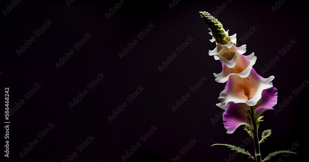 foxglove flower in black background generative ai foxglove flower in black background generative ai