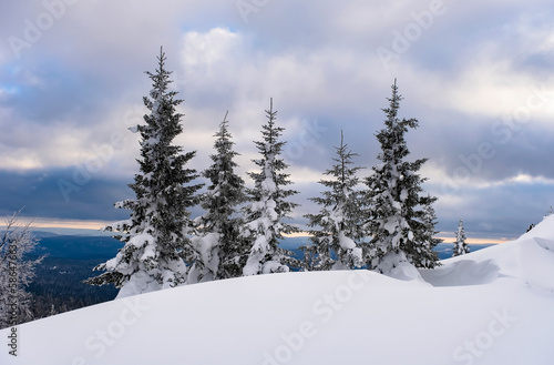 Snowy tree branches against the blue sky after a heavy snowfall in the Ural mountains