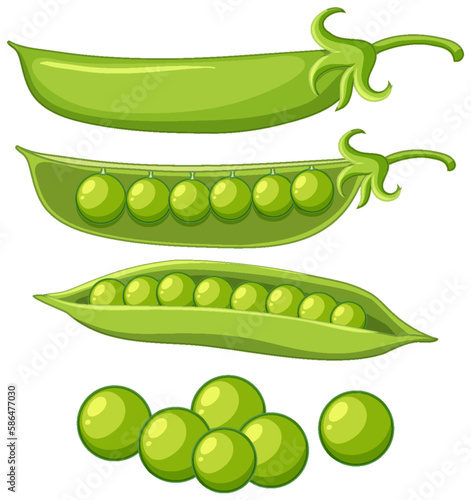 Isolated green peas cartoon