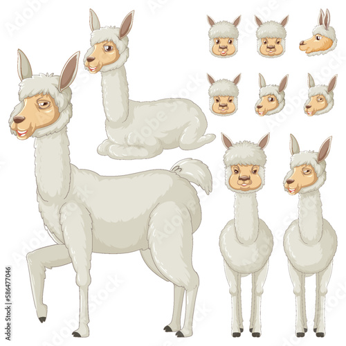 Set of alpaca cartoon character with head and facial expression