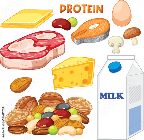 Varieties of protein food with text