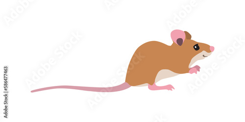 Animal illustration. Sitting mouse drawn in a flat style. Isolated objects on a white background. Vector 10 EPS
