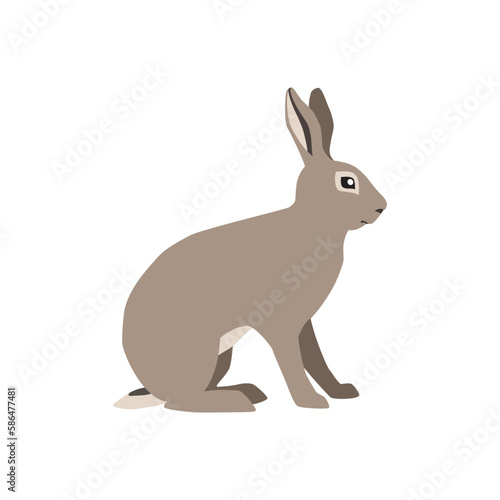 Animal illustration. Sitting hare drawn in a flat style. Isolated object on a white background. Vector 10 EPS © slybrowney