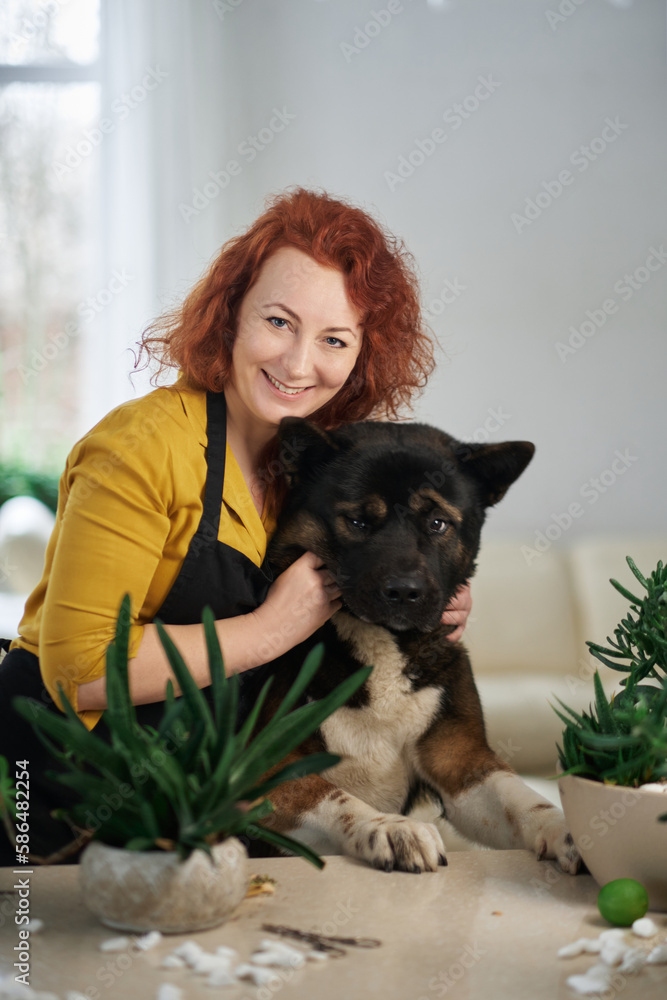 Young ginger woman in black apron with akita dog having fun at home . Smiling and feeding the dog. High quality photo Young ginger woman in black apron with akita dog having fun at home . Smiling and feeding the dog. High quality photo