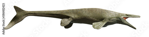 Obraz na płótnie Mosasaurus, extinct marine reptile from the Late Cretaceous, isolated on transparent background banner, side view
w salonie