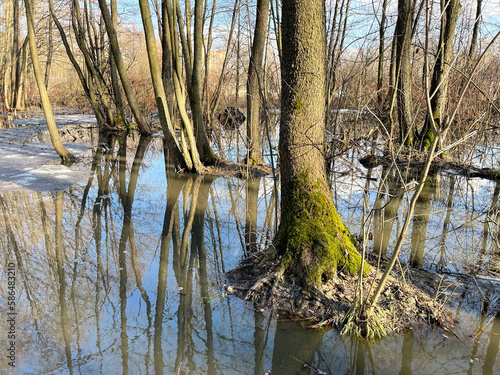 High water in the park 