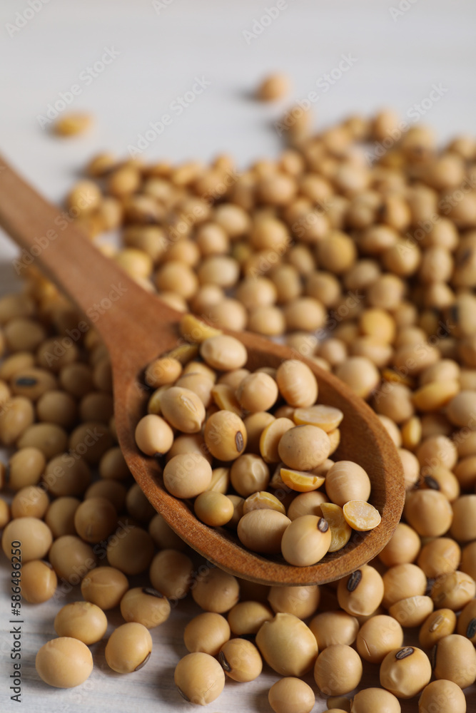 Wooden spoon with soy seeds, close up Wooden spoon with soy seeds, close up