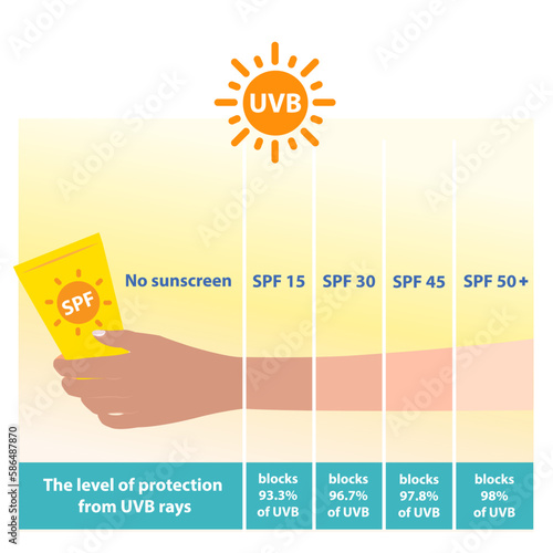 The different levels of SPF sunscreen protect UVB rays vector on white background. Comparison of arm skin tone with the level of sun protection factor sunscreen. Skin care and beauty concept.