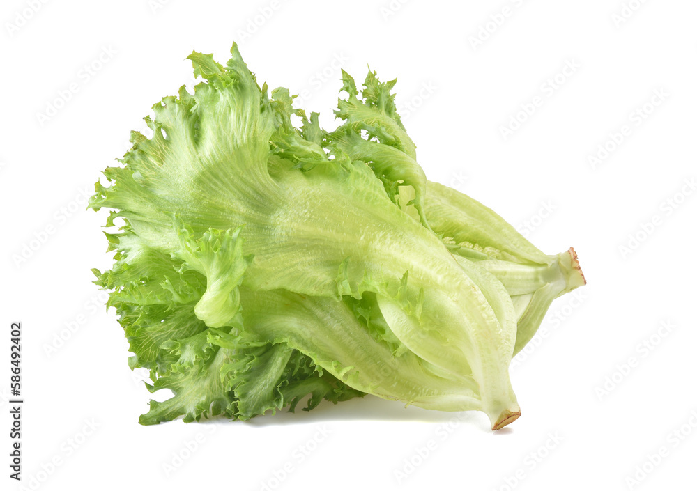 Frillice Iceberg isolated on white background Frillice Iceberg isolated on white background