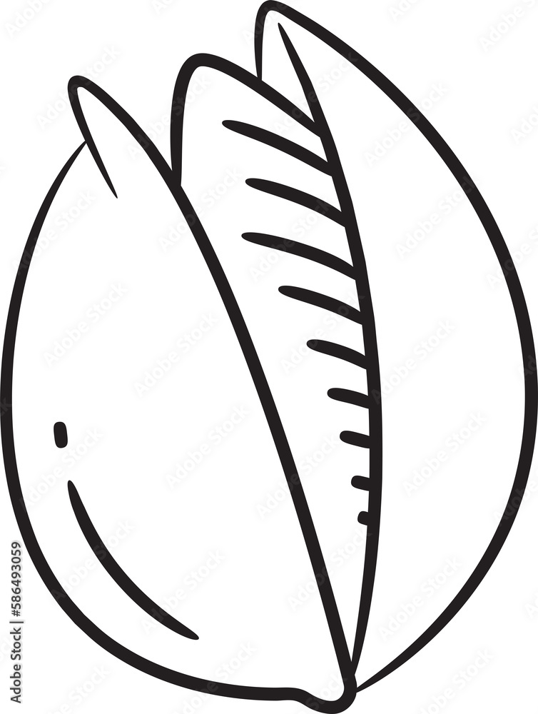 Bean Hand Drawn Illustration Bean Hand Drawn Illustration