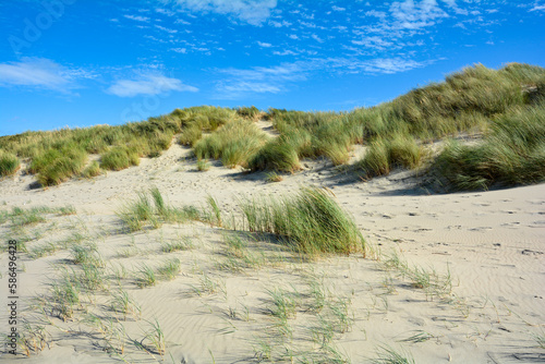 Sand dunes with beach grass at the North Sea with blue sky